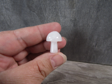 Load image into Gallery viewer, Gemstone Mushrooms Assorted