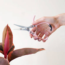 Load image into Gallery viewer, Pruning Shears | Pink