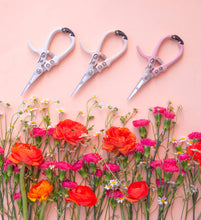 Load image into Gallery viewer, Pruning Shears | Pink