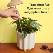 Load image into Gallery viewer, Instant Sun Extendable Grow Lamp