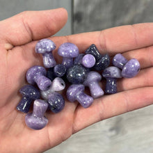 Load image into Gallery viewer, Gemstone Mushrooms Assorted