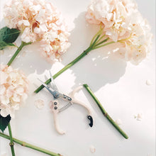 Load image into Gallery viewer, Pruning Shears | Vanilla
