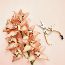 Load image into Gallery viewer, Pruning Shears | Vanilla