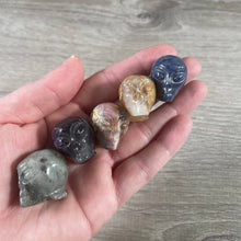 Load image into Gallery viewer, Assorted Gemstone Skull Figurines – Crystal Carvings