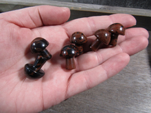 Load image into Gallery viewer, Gemstone Mushrooms Assorted