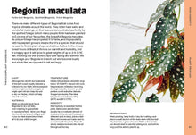Load image into Gallery viewer, The Houseplant Handbook