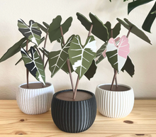 Load image into Gallery viewer, 3D Printed Hanging Coaster Set