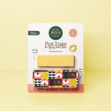 Load image into Gallery viewer, Compostable Gnat Traps