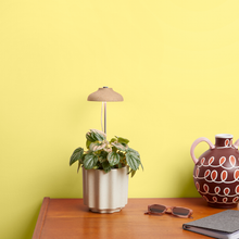 Load image into Gallery viewer, Instant Sun Extendable Grow Lamp
