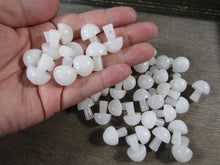 Load image into Gallery viewer, Gemstone Mushrooms Assorted