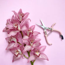 Load image into Gallery viewer, Pruning Shears | Pink