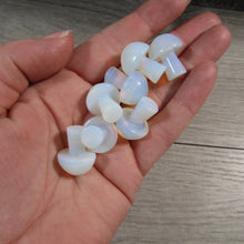Load image into Gallery viewer, Gemstone Mushrooms Assorted