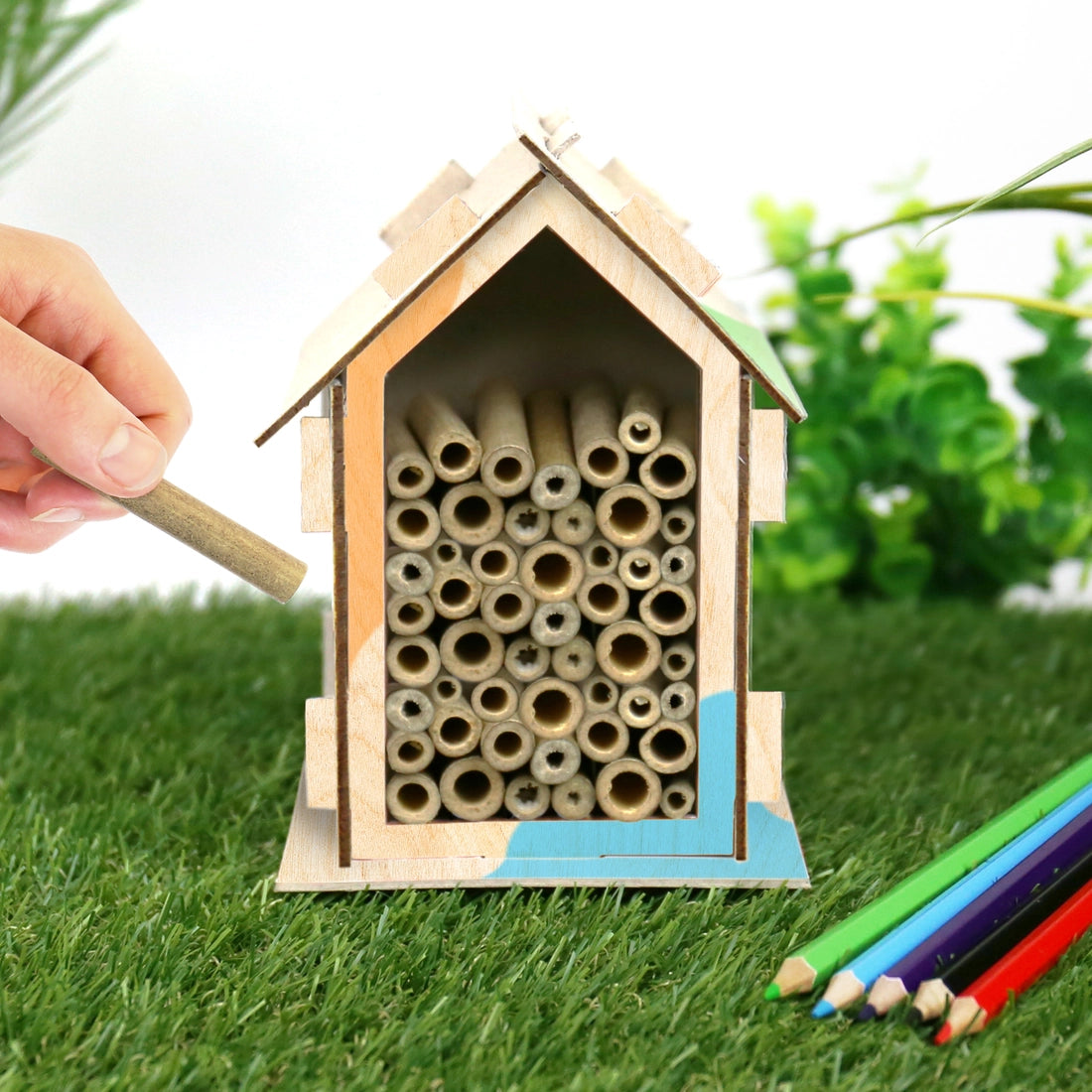 DIY Bee House Kit Send Nodes Plant Shop