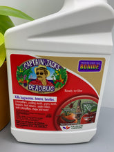 Load image into Gallery viewer, Captain Jack's Dead Bug Brew 32 fl oz