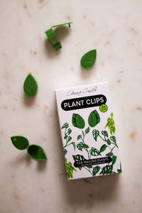 Wall Clips Plant Clips