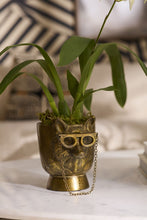 Load image into Gallery viewer, Pot: Eloise 7.5"x 5.75"
