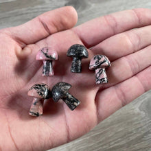 Load image into Gallery viewer, Gemstone Mushrooms Assorted
