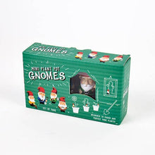 Load image into Gallery viewer, Plant Pot Gnomes
