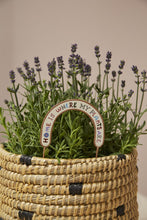 Load image into Gallery viewer, Home Body Plant Stick 4"x 5.25"
