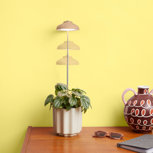 Load image into Gallery viewer, Instant Sun Extendable Grow Lamp
