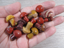Load image into Gallery viewer, Gemstone Mushrooms Assorted
