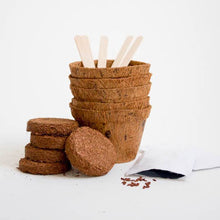 Load image into Gallery viewer, Carnivorous Plants Grow It
