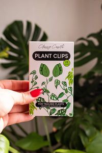 Wall Clips Plant Clips