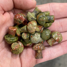 Load image into Gallery viewer, Gemstone Mushrooms Assorted
