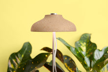 Load image into Gallery viewer, Instant Sun Extendable Grow Lamp
