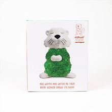 Load image into Gallery viewer, Hairy Beaver Planter
