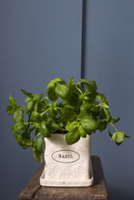 Load image into Gallery viewer, Pot: Aroma Pot with Saucer 4.75"
