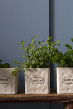 Load image into Gallery viewer, Pot: Aroma Pot with Saucer 4.75"
