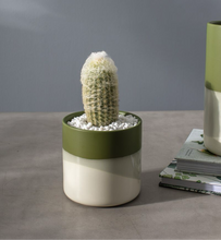 Load image into Gallery viewer, Pot: Lauris Pot 4.5in x 4.5in
