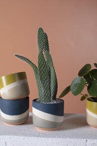 Pot: Colorway 4in x 3.5in
