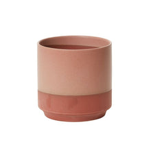 Load image into Gallery viewer, Pot: Gavin Pot 5.25in x 5.5in
