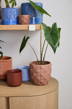 Load image into Gallery viewer, Pot: Ticul Terracotta 7in x 6.75in

