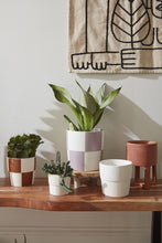 Load image into Gallery viewer, Pot: Checkerboard Pot 5&quot;x 5&quot;
