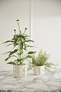 Pot: Veggie Pot