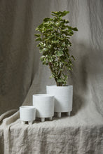 Load image into Gallery viewer, Pot: Morrow Footed Pot
