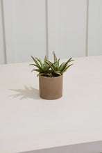 Load image into Gallery viewer, Pot: Morrison 4in x 4.25in
