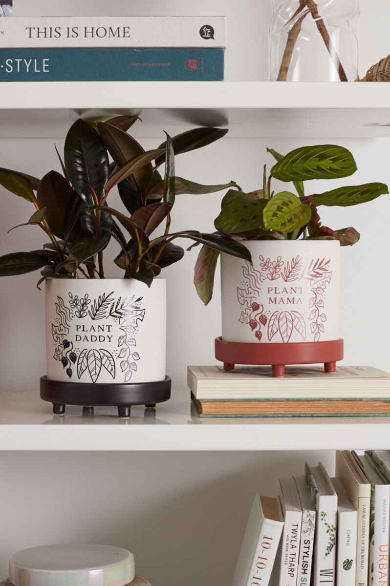 Pot: Plant Mama with Saucer 5