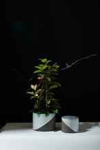 Load image into Gallery viewer, Pot: Deuces 6.75in x 5.5in
