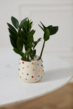 Load image into Gallery viewer, Pot: Color Dot 5.25"x 4.5"
