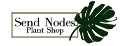 Send Nodes Plant Shop