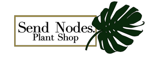 Send Nodes Plant Shop