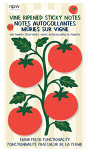 Load image into Gallery viewer, Vine Ripened Tomato Sticky Notes - 4 Pack
