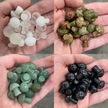 Load image into Gallery viewer, Gemstone Mushrooms Assorted
