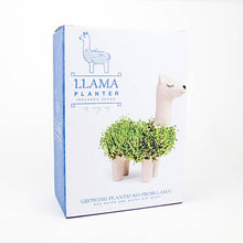 Load image into Gallery viewer, Llama Planter
