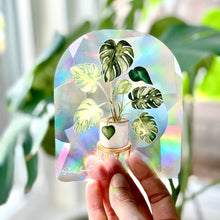 Load image into Gallery viewer, Rainbow Making Monstera Suncatcher Window Decal  Sticker
