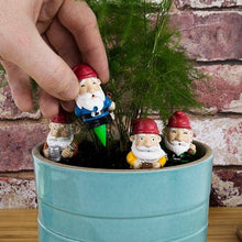 Load image into Gallery viewer, Plant Pot Gnomes
